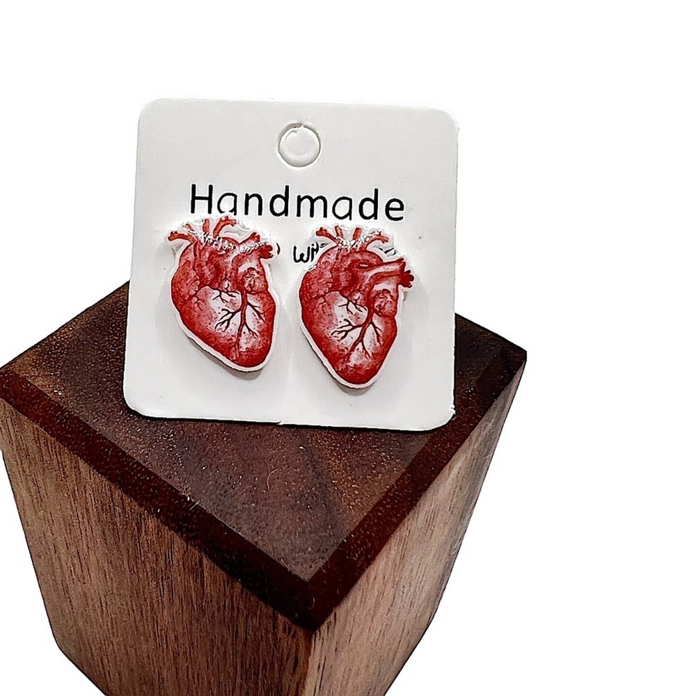 Human heart , detailed earrings. New. Anatomically correct.